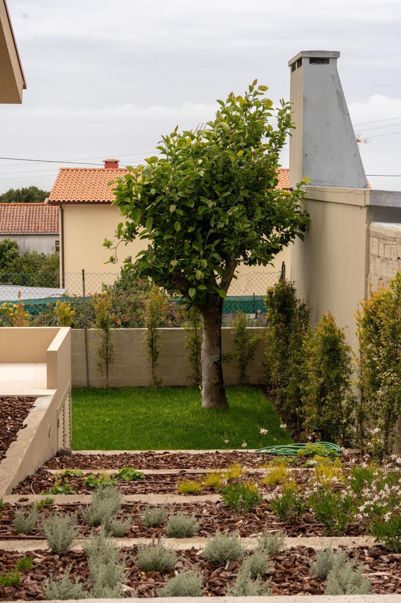 3 Olives House - By 3 Marias Residence Santana  Buitenkant foto